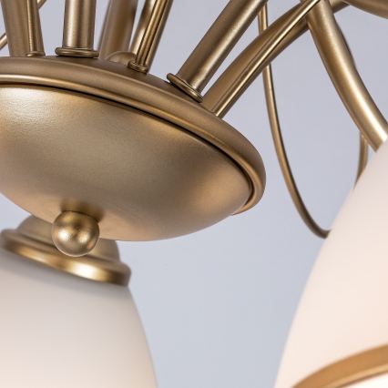 Brilagi - Prisadený luster FRED 5xE27/60W/230V pr. 59 cm zlatý