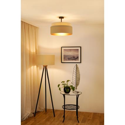 Brilagi - Prisadený luster OREGON VEGE 1xE27/15W/230V pr. 45 cm béžová