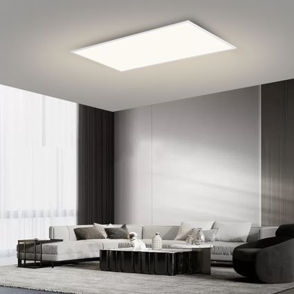 Brilagi - LED stropné svietidlo SLIMFRAME LED/80W/230V 120x60 cm 3000/4000/6000K biela