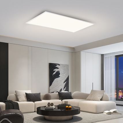 Brilagi - LED stropné svietidlo SLIMFRAME LED/80W/230V 120x60 cm 3000/4000/6000K biela