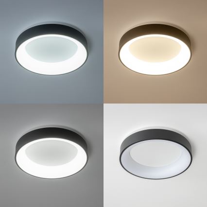 Brilagi - LED stmievateľné stropné svietidlo FALCON LED/80W/230V 3000-6500K pr. 60 cm čierna + diaľkové ovládanie