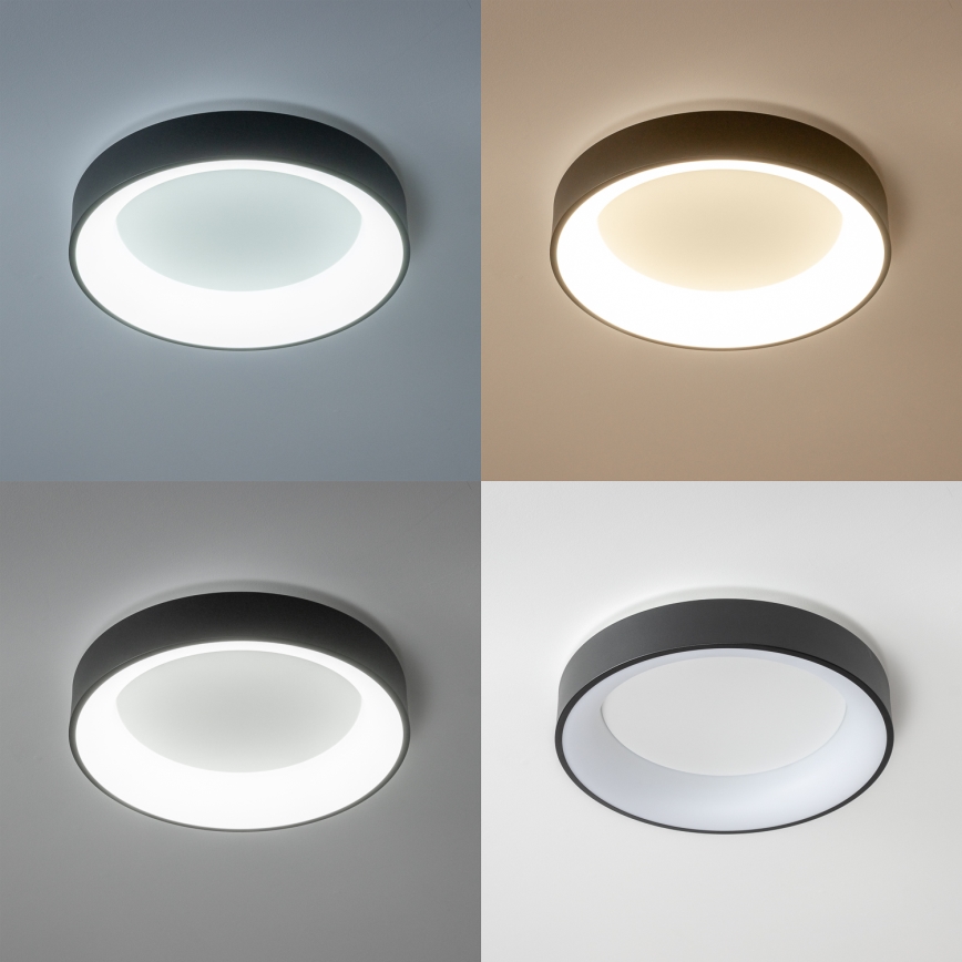 Brilagi - LED stmievateľné stropné svietidlo FALCON LED/80W/230V 3000-6500K pr. 60 cm čierna + diaľkové ovládanie