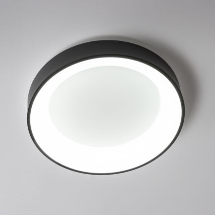 Brilagi - LED stmievateľné stropné svietidlo FALCON LED/80W/230V 3000-6500K pr. 60 cm čierna + diaľkové ovládanie