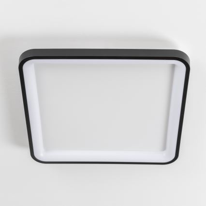 Brilagi - LED stlmiteľné stropné svietidlo FALCON SLIM LED/50W/230V 3000-6500K 50x50 cm čierne + diaľkové ovládanie