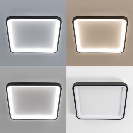 Brilagi - LED stlmiteľné stropné svietidlo FALCON SLIM LED/50W/230V 3000-6500K 50x50 cm čierne + diaľkové ovládanie