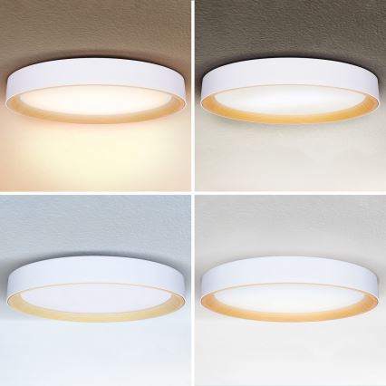 Brilagi - LED stmievateľné stropné svietidlo LARIOS LED/72W/230V 3000-6500K biela, priemer 59 cm + diaľkové ovládanie