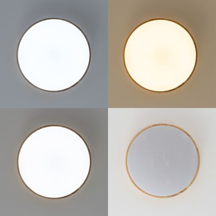 Štyri kruhové stropné svietidlá s dreveným rámom a mliečnym difúzorom. Svietidlá vyžarujú rôzne intenzity svetla: biele, teplé biele a dve s neutrálnym svetlom. Svietidlá sú umiestnené na jednotnom pozadí.