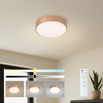 Brilagi - stmievateľné LED stropné svietidlo POOL LED/24W/230V 3000–6000 K pr. 20 cm bronzové + diaľkové ovládanie