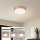 Brilagi - stmievateľné LED stropné svietidlo POOL LED/24W/230V 3000–6000 K pr. 20 cm bronzové + diaľkové ovládanie