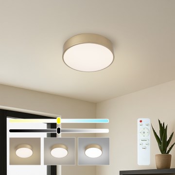 Brilagi - stmievateľné LED stropné svietidlo POOL LED/24W/230V 3000-6000K priemer 20 cm zlaté + diaľkové ovládanie