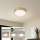 Brilagi - stmievateľné LED stropné svietidlo POOL LED/24W/230V 3000-6000K priemer 20 cm zlaté + diaľkové ovládanie