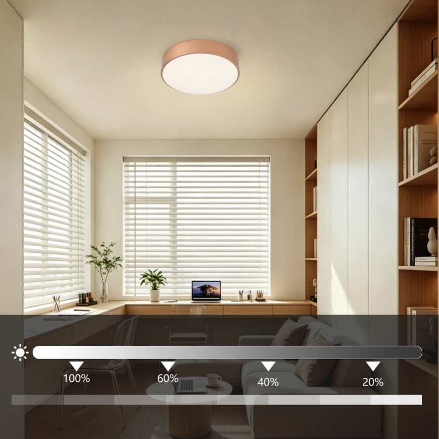 Brilagi - stmievateľné LED stropné svietidlo POOL LED/24W/230V 3000–6000 K pr. 20 cm bronzové + diaľkové ovládanie