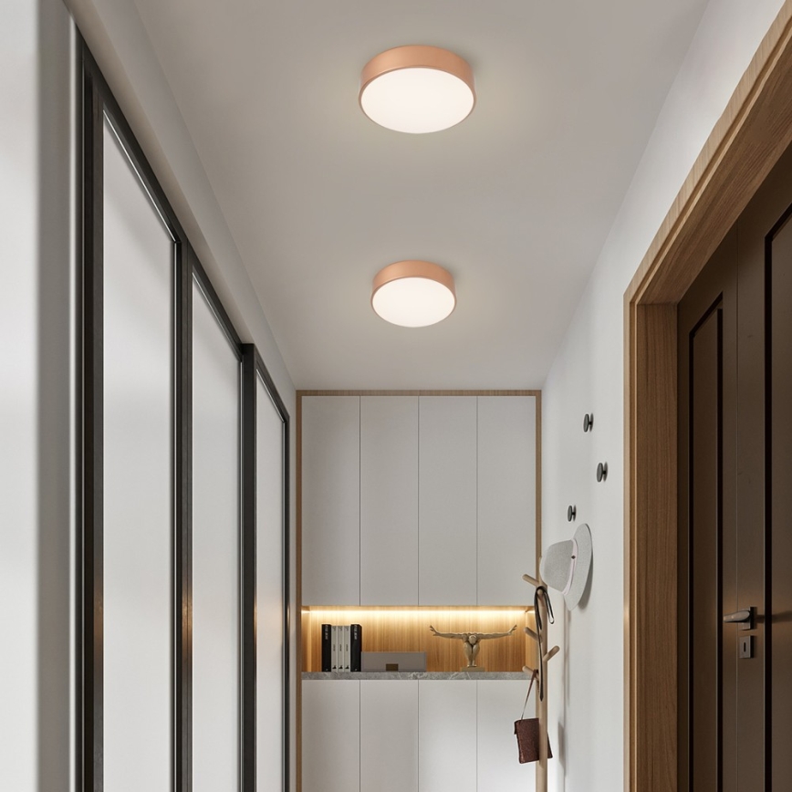 Brilagi - stmievateľné LED stropné svietidlo POOL LED/24W/230V 3000–6000 K pr. 20 cm bronzové + diaľkové ovládanie