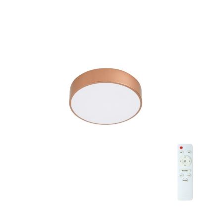 Brilagi - stmievateľné LED stropné svietidlo POOL LED/24W/230V 3000–6000 K pr. 20 cm bronzové + diaľkové ovládanie
