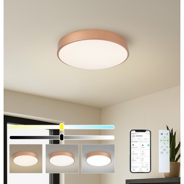 Brilagi - stmievateľné LED stropné svietidlo POOL SMART LED/48W/230V 3000-6000K priemer 40 cm Wi-Fi Tuya bronzové + diaľkové ovládanie