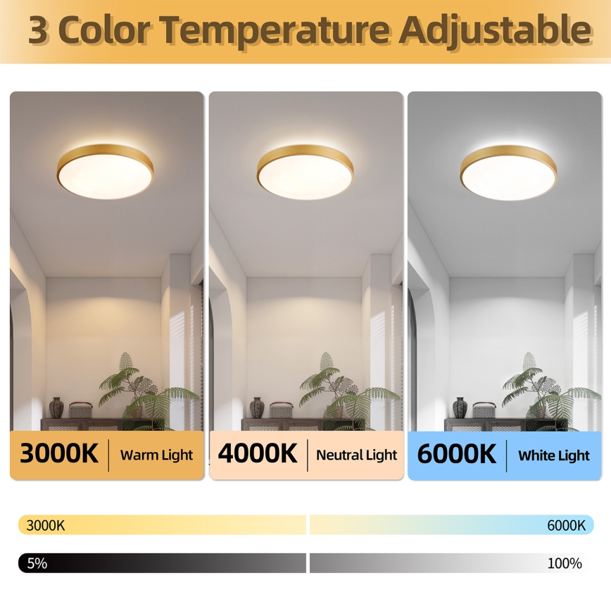 Brilagi - Stmievateľné LED stropné svietidlo GLASS POOL DOUBLE LED/48W/230V 3000-6000K 40 cm zlaté + diaľkové ovládanie
