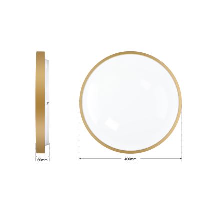 Brilagi - Stmievateľné LED stropné svietidlo GLASS POOL DOUBLE LED/48W/230V 3000-6000K 40 cm zlaté + diaľkové ovládanie