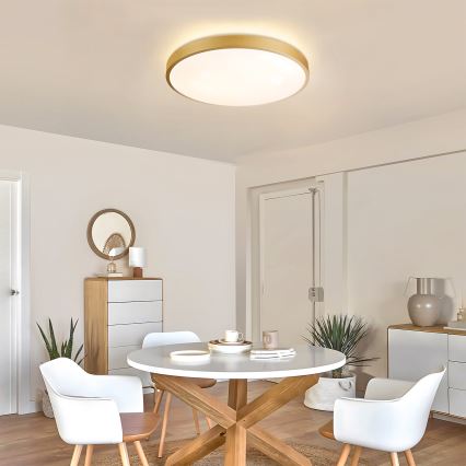 Brilagi - stmievateľné LED stropné svietidlo GLASS POOL DOUBLE LED/60W/230V 3000-6000K 50 cm zlaté + diaľkové ovládanie