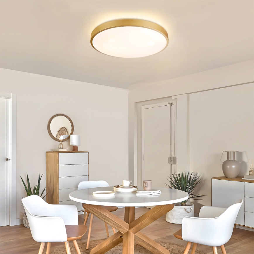 Brilagi - stmievateľné LED stropné svietidlo GLASS POOL DOUBLE LED/60W/230V 3000-6000K 50 cm zlaté + diaľkové ovládanie