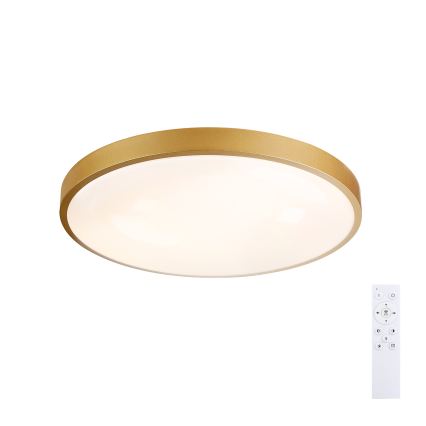 Brilagi - stmievateľné LED stropné svietidlo GLASS POOL DOUBLE LED/60W/230V 3000-6000K 50 cm zlaté + diaľkové ovládanie