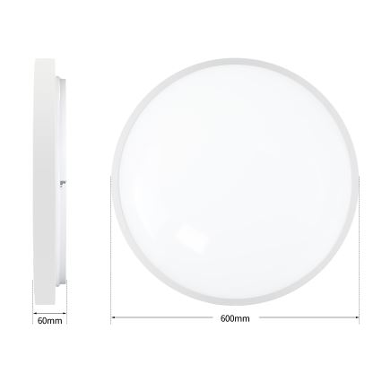 Brilagi - LED stropné svietidlo s možnosťou stmievania GLASS POOL DOUBLE LED/80W/230V 3000-6000K 60 cm biela + diaľkové ovládanie