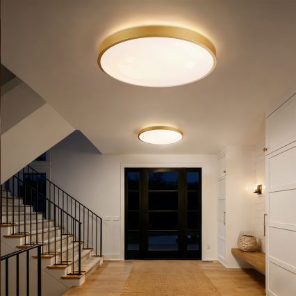 Brilagi - LED stmievateľné stropné svietidlo GLASS POOL DOUBLE LED/80W/230V 3000-6000K 60 cm zlaté + diaľkové ovládanie