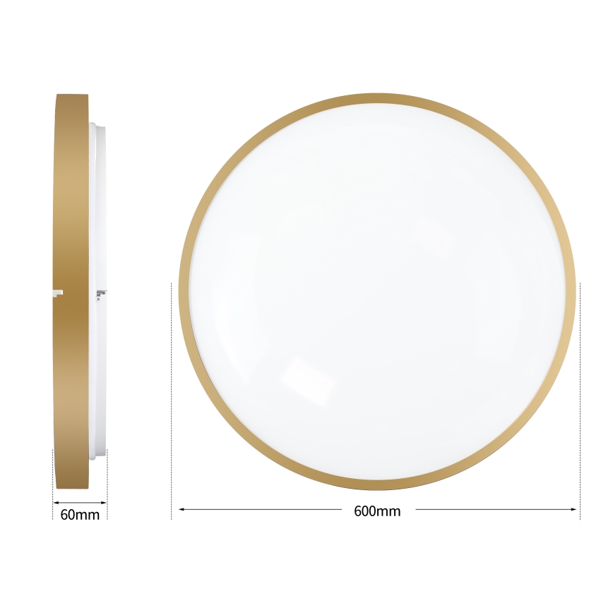 Brilagi - LED stmievateľné stropné svietidlo GLASS POOL DOUBLE LED/80W/230V 3000-6000K 60 cm zlaté + diaľkové ovládanie