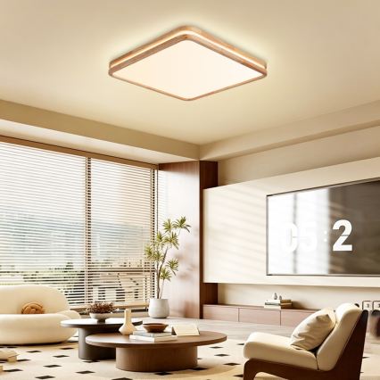 BRILAGI - LED Stmievateľné stropné svietidlo MOLINA SQUARE LED/80W/230V 3000-6000K dub 60x60 cm + diaľkové ovládanie