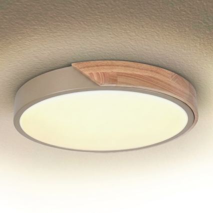 BRILAGI - LED Stmievané stropné svietidlo PILANA LED/48W/230V 3000-6500K dub/béžová pr. 40 cm + diaľkové ovládanie