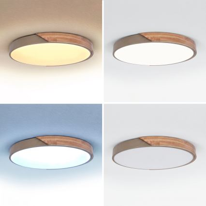 BRILAGI - LED stmievateľné stropné svietidlo PILANA LED/60W/230V 3000-6500K dub/béžová pr. 60 cm + diaľkové ovládanie