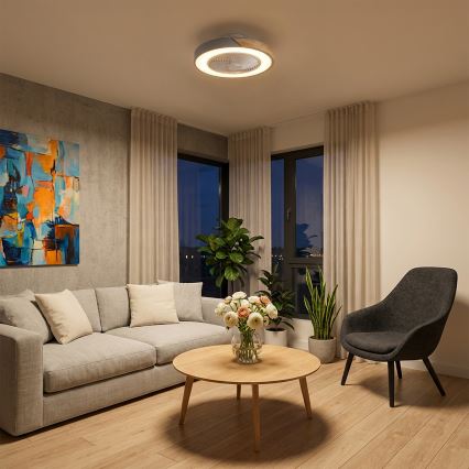 Brilagi - LED stmievateľné stropné svietidlo s ventilátorom LED/38W/230V 3000-6500K pr. 50 cm šedá/dub + diaľkové ovládanie