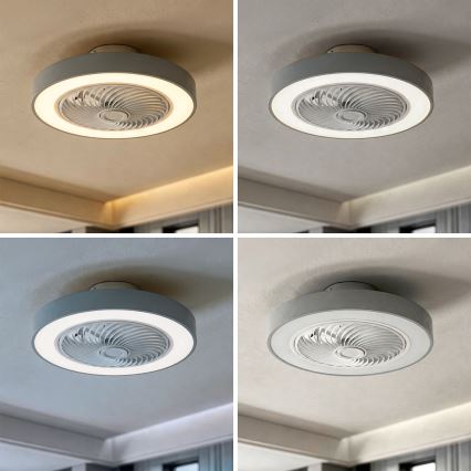 Brilagi - LED stmievateľné stropné svietidlo s ventilátorom LED/38W/230V 3000-6500K pr. 50 cm sivé + diaľkové ovládanie