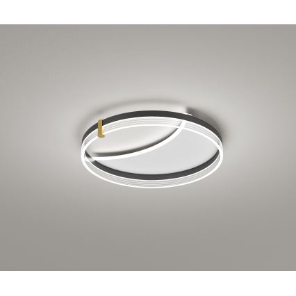 Brilagi - LED stmievateľné stropné svietidlo SIRELI LED/47W/230V 3000-6000K pr. 40 cm + diaľkové ovládanie