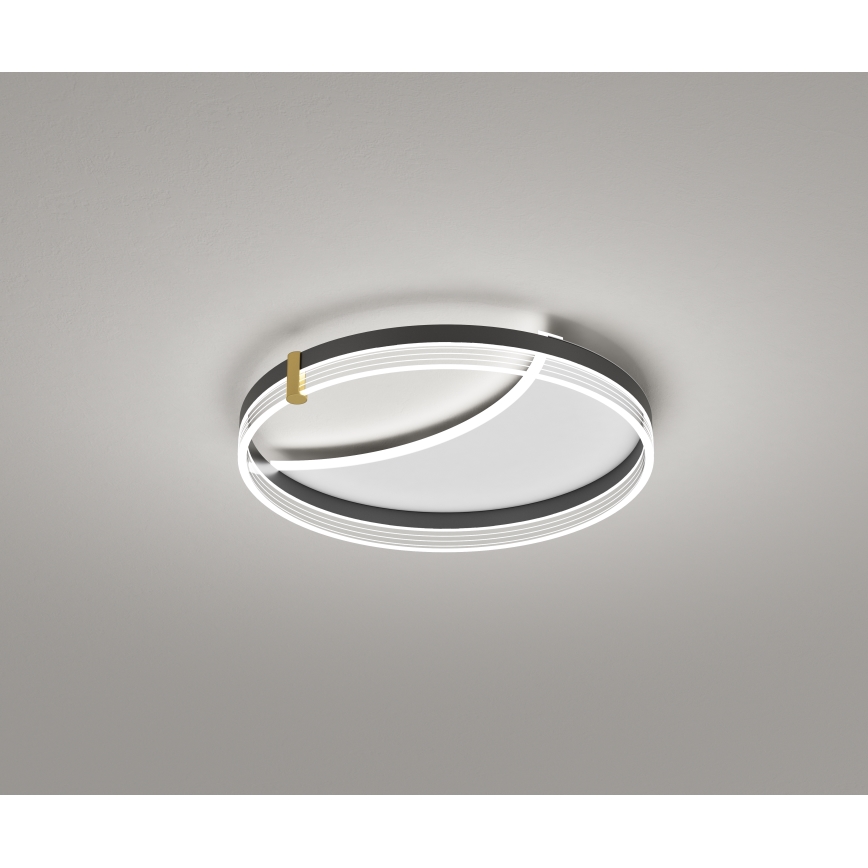 Brilagi - LED stmievateľné stropné svietidlo SIRELI LED/47W/230V 3000-6000K pr. 40 cm + diaľkové ovládanie