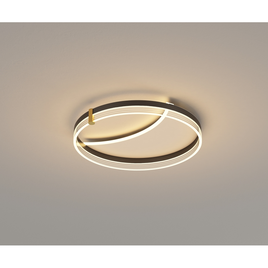 Brilagi - LED stmievateľné stropné svietidlo SIRELI LED/47W/230V 3000-6000K pr. 40 cm + diaľkové ovládanie