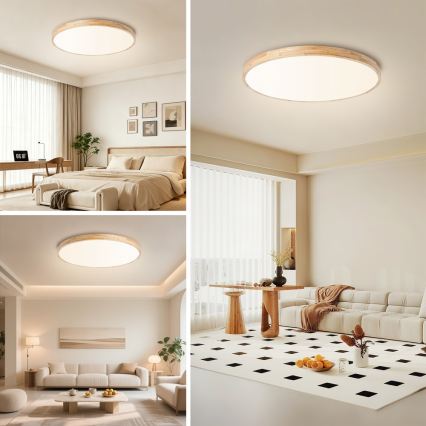 Brilagi - LED stmievateľné stropné svietidlo WOODLINE LED/100W/230V 3000-6000K dub priemer 80 cm + diaľkové ovládanie