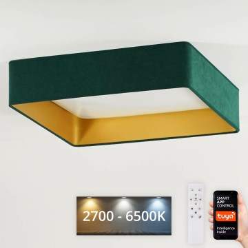 Brilagi - stmievateľné stropné LED svietidlo VELVET SQUARE SMART LED/36W/230V 60x60 cm 2700-6500K Wi-Fi Tuya + diaľkové ovládanie zelené