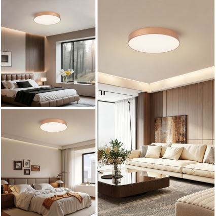 Brilagi - LED stmievateľné stropné svietidlo POOL LED/60W/230V 3000-6000K pr. 50 cm bronzové + diaľkové ovládanie