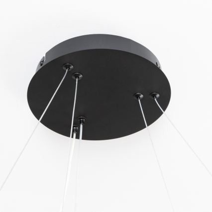 Brilagi - LED stmievateľný luster na lanku FALCON SLIM LED/68W/230V 3000-6500K pr. 50 cm čierna + diaľkové ovládanie
