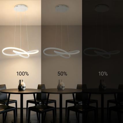 Brilagi - stmievateľný LED luster na lane INFINITY LED/55W/230V 3000-6000K 50x50 cm biela + diaľkové ovládanie