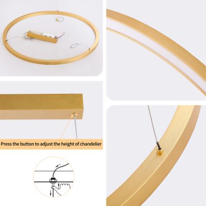 Brilagi - LED Stmievateľný závesný luster na lanku PORTOFINO LED/60W/230V 3000-6000K pr. 80 cm zlatý + diaľkové ovládanie