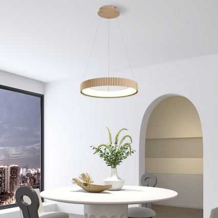 Brilagi - LED stmievateľný luster na lanku FALCON MODERN LED/30W/230V 3000-6500K 40 cm béžový + diaľkové ovládanie