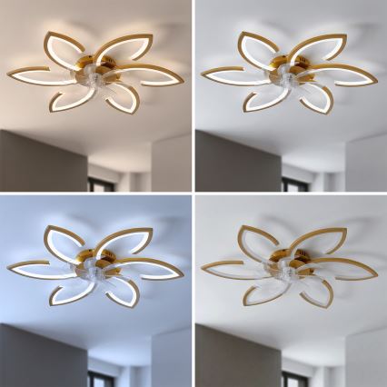 Brilagi - LED Stmievateľný stropný ventilátor LED/34W/230V pr. 78 cm zlatý + diaľkové ovládanie