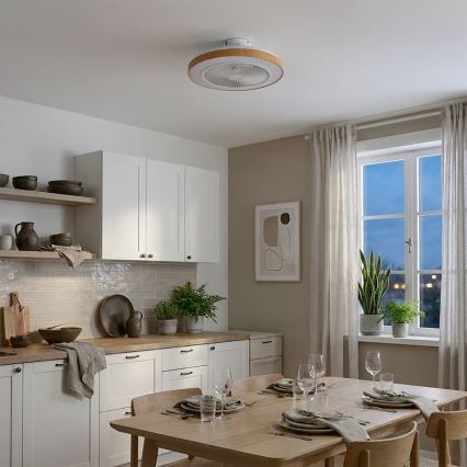 Brilagi - stmievateľný LED stropný ventilátor LED/38W/230V 3000–6500K priemer 50 cm biela/hnedá + diaľkové ovládanie