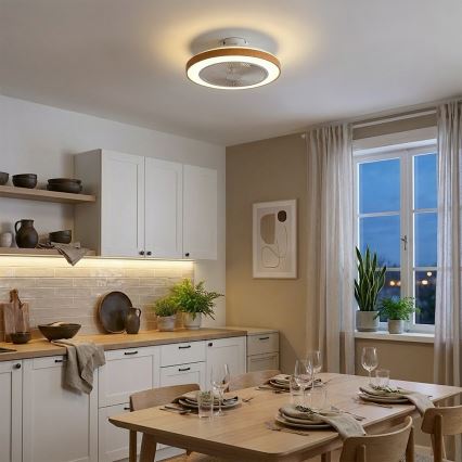 Brilagi - stmievateľný LED stropný ventilátor LED/38W/230V 3000–6500K priemer 50 cm biela/hnedá + diaľkové ovládanie