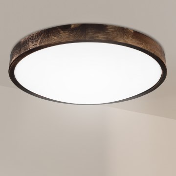 Brilagi - Stropné svietidlo CARVALHO SMOKEY 3xE27/60W/230V dub pr. 47,5 cm