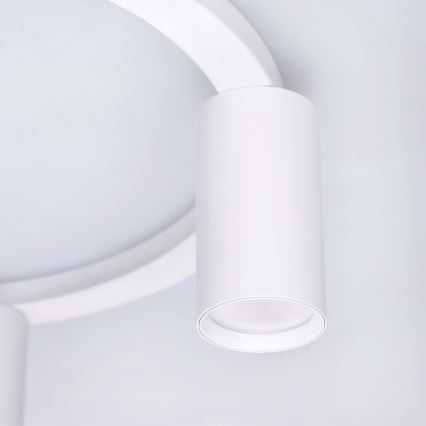 Brilagi - Stropné svietidlo SELE 4xGU10/30W/230V biela