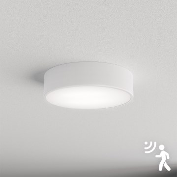 Brilagi - Stropné svietidlo so senzorom CLARE 2xE27/40W/230V pr. 30 cm biela