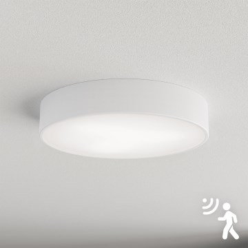 Brilagi - Stropné svietidlo so senzorom CLARE 3xE27/40W/230V pr. 40 cm biela