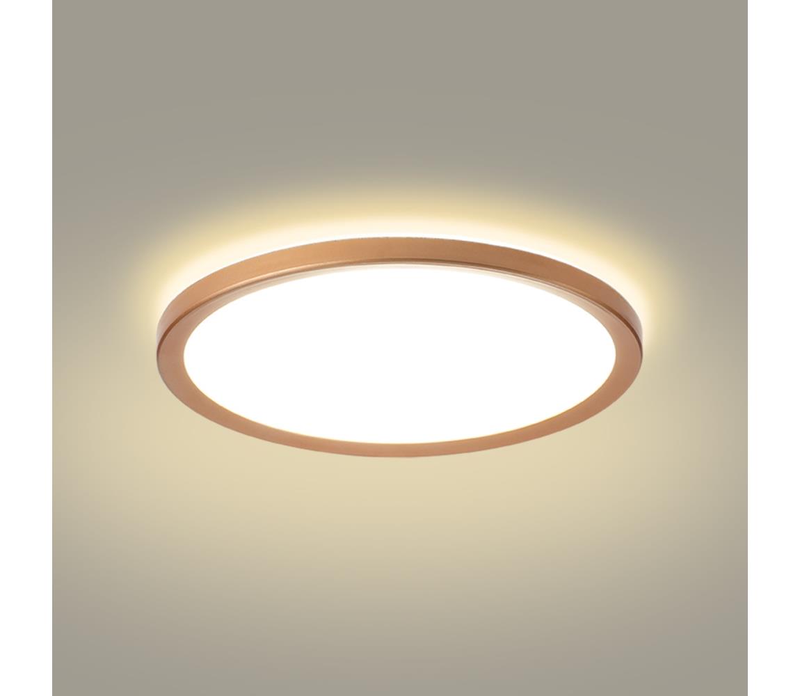Brilagi - ultratenké kúpeľňové stropné LED svietidlo 24W/230V, priemer 42 cm, ružové zlato, IP54 BRI630